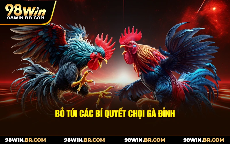 bo-tui-cac-bi-quyet-choi-ga-dinh