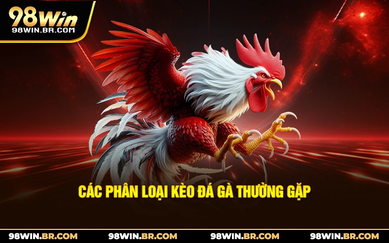 cac-phan-loai-keo-da-ga-thuong-gap